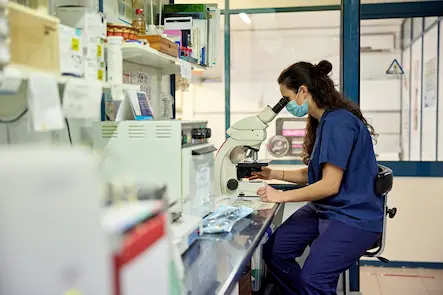 Guide to Writing the Ultimate Medical Technologist Resume