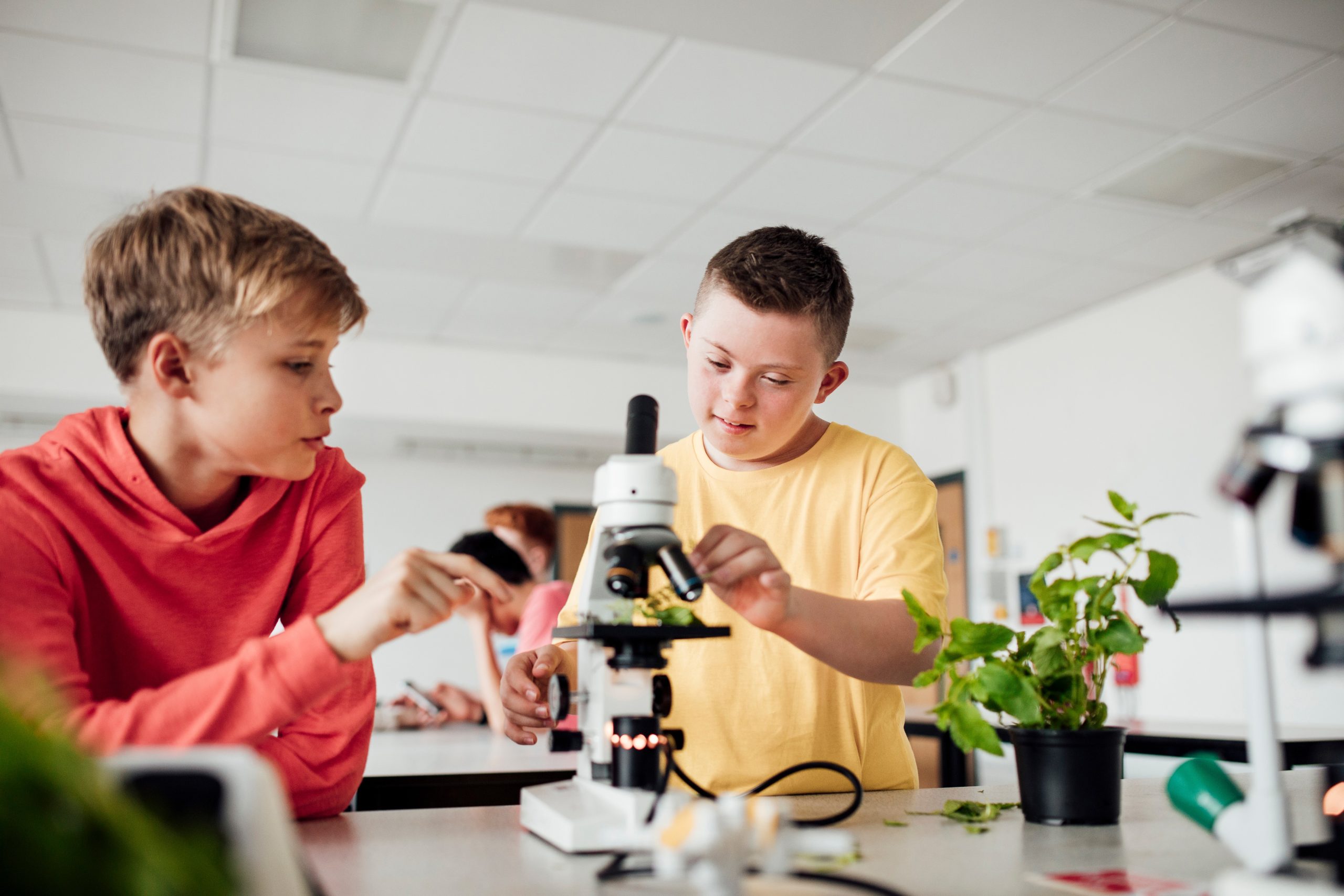 Sunbelt Places 60+ Special Education Professionals in Indiana's Largest School District